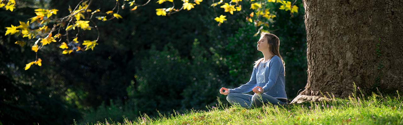 Święta na wakacje dla jogi