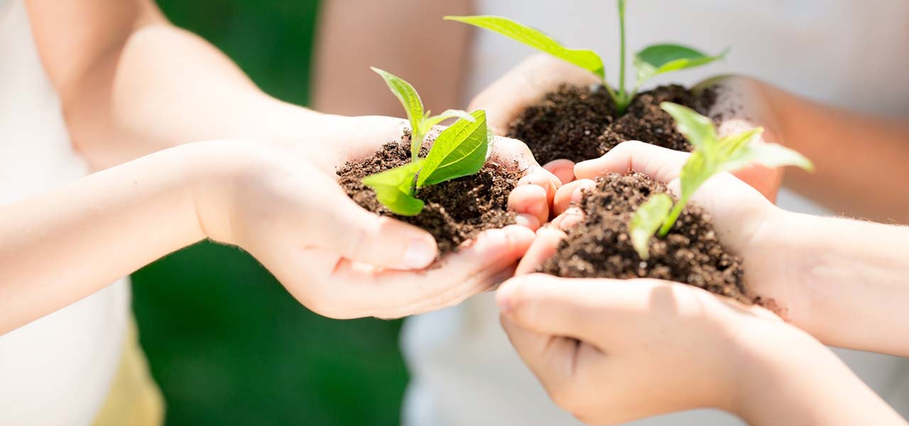 Gospodarstwa ekologiczne w Toskanii