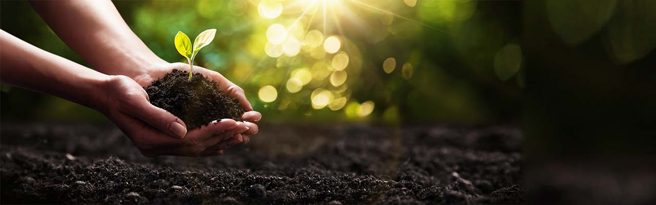 Gospodarstwa ekologiczne na Sycylii