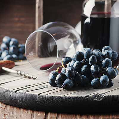 Wakacje z degustacją wina w Langhe