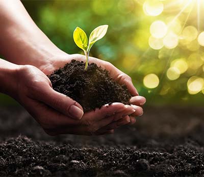 Turystyka odpowiedzialna w zrównoważonych farmach agroturystycznych we Włoszech