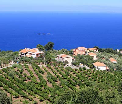 Pobyt w domu wakacyjnym, pensjonacie, willi i gospodarstwie blisko morza